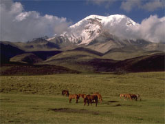 Ecuador