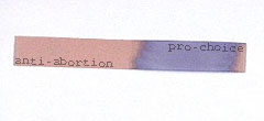 A litmus test similar to the one discovered in the Oval Office.: The actual results of the Miers litmus test have not been disclosed.