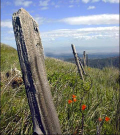 Portion of Mexican border fence